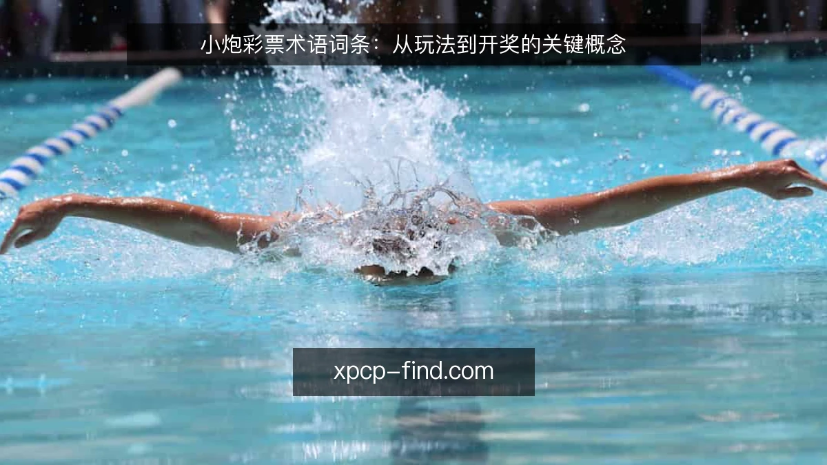 小炮彩票术语词条:从玩法到开奖的关键概念