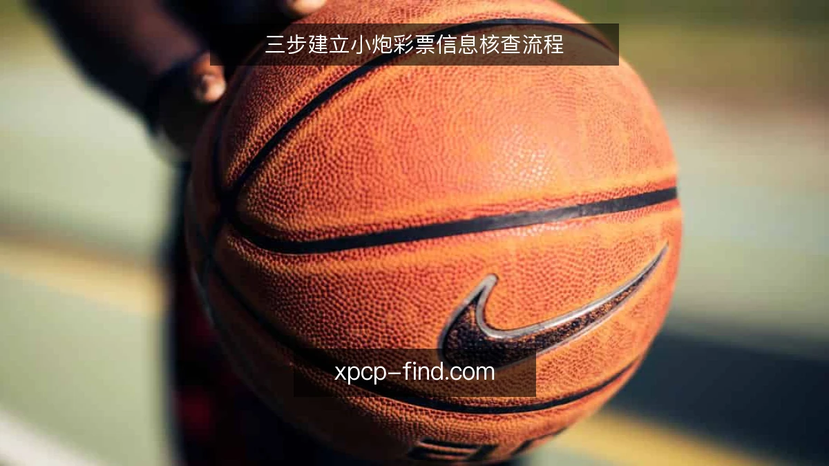 三步建立小炮彩票信息核查流程