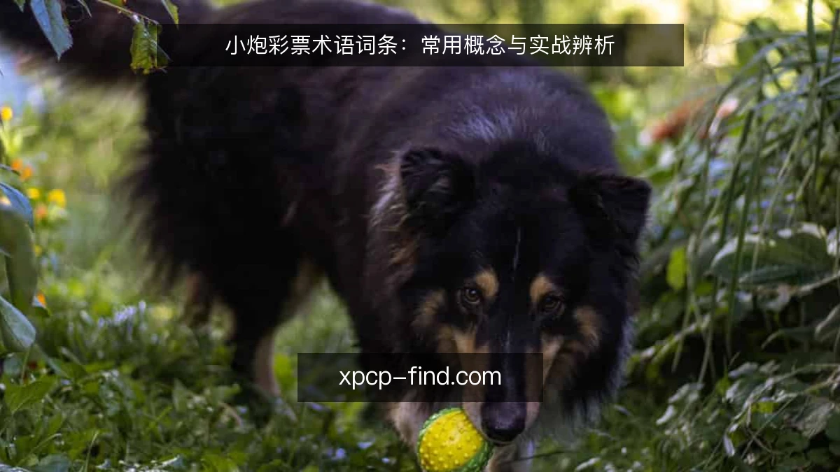 小炮彩票术语词条:常用概念与实战辨析
