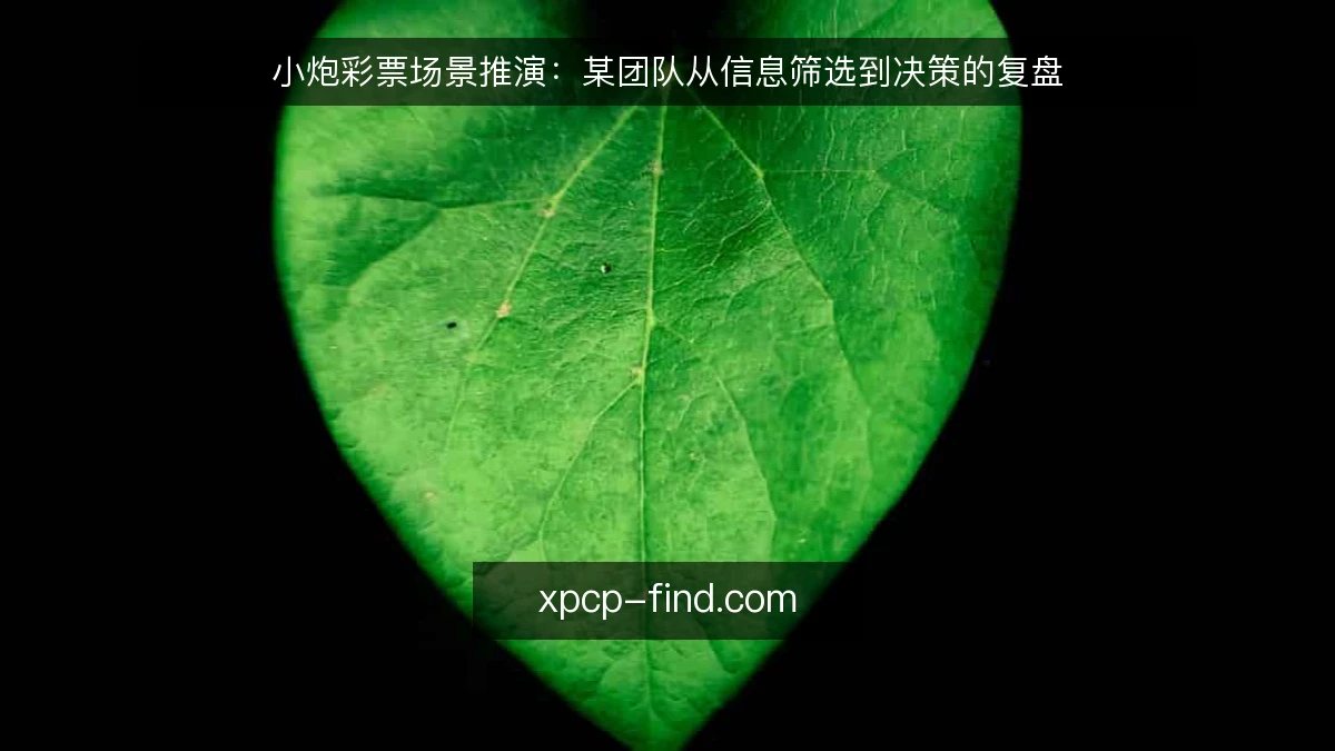 小炮彩票场景推演：某团队从信息筛选到决策的复盘